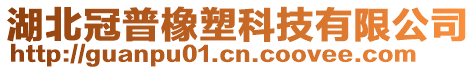 湖北冠普橡塑科技有限公司