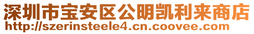深圳市寶安區(qū)公明凱利來商店