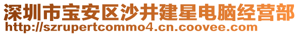 深圳市寶安區沙井建星電腦經營部
