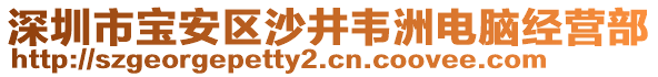 深圳市寶安區沙井韋洲電腦經營部