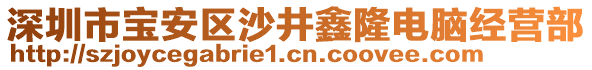 深圳市寶安區沙井鑫隆電腦經營部