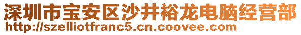深圳市寶安區沙井裕龍電腦經營部