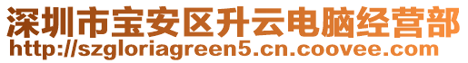深圳市寶安區(qū)升云電腦經營部