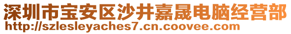 深圳市寶安區沙井嘉晟電腦經營部