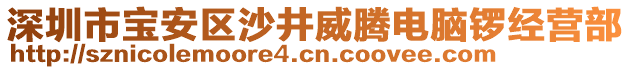 深圳市寶安區(qū)沙井威騰電腦鑼經(jīng)營(yíng)部