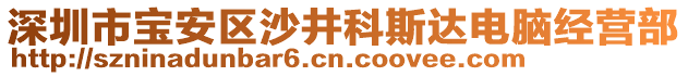 深圳市寶安區(qū)沙井科斯達(dá)電腦經(jīng)營(yíng)部
