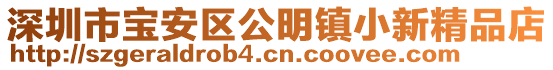 深圳市寶安區(qū)公明鎮(zhèn)小新精品店