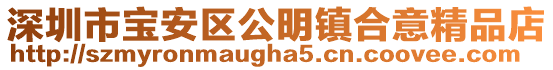 深圳市寶安區(qū)公明鎮(zhèn)合意精品店
