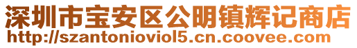 深圳市寶安區(qū)公明鎮(zhèn)輝記商店