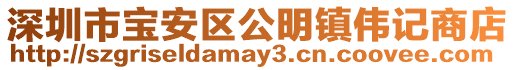 深圳市寶安區公明鎮偉記商店