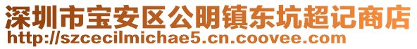 深圳市寶安區公明鎮東坑超記商店