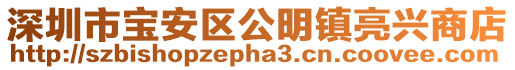深圳市寶安區公明鎮亮興商店