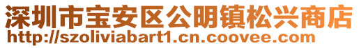 深圳市寶安區(qū)公明鎮(zhèn)松興商店