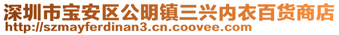 深圳市寶安區(qū)公明鎮(zhèn)三興內(nèi)衣百貨商店