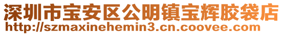 深圳市寶安區公明鎮寶輝膠袋店