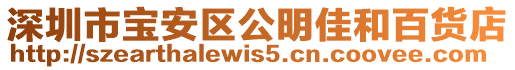 深圳市寶安區公明佳和百貨店