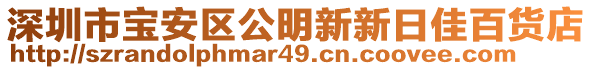 深圳市寶安區(qū)公明新新日佳百貨店