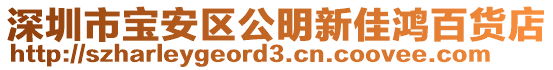深圳市寶安區公明新佳鴻百貨店
