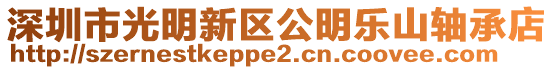 深圳市光明新區公明樂山軸承店