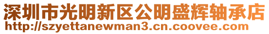深圳市光明新區(qū)公明盛輝軸承店