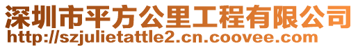 深圳市平方公里工程有限公司