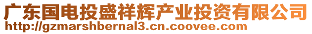 廣東國電投盛祥輝產業投資有限公司
