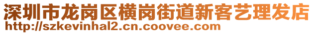 深圳市龍崗區橫崗街道新客藝理發店