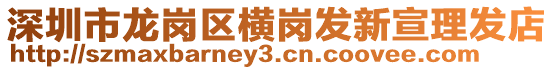 深圳市龍崗區橫崗發新宣理發店
