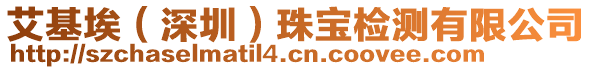 艾基埃（深圳）珠寶檢測(cè)有限公司