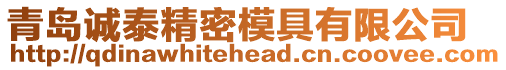 青島誠泰精密模具有限公司