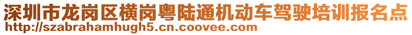 深圳市龍崗區(qū)橫崗粵陸通機(jī)動(dòng)車駕駛培訓(xùn)報(bào)名點(diǎn)