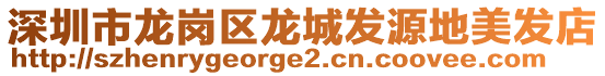 深圳市龍崗區(qū)龍城發(fā)源地美發(fā)店