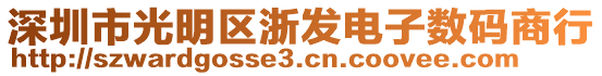 深圳市光明區(qū)浙發(fā)電子數(shù)碼商行