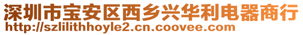 深圳市寶安區西鄉興華利電器商行
