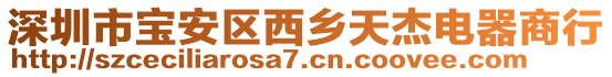深圳市寶安區西鄉天杰電器商行