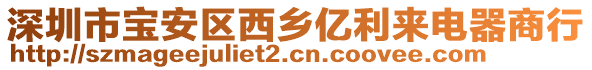 深圳市寶安區(qū)西鄉(xiāng)億利來電器商行