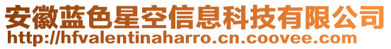 安徽藍(lán)色星空信息科技有限公司