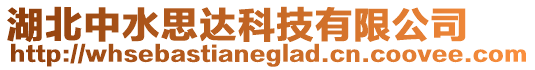 湖北中水思達科技有限公司