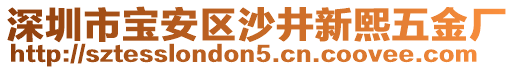 深圳市寶安區(qū)沙井新熙五金廠