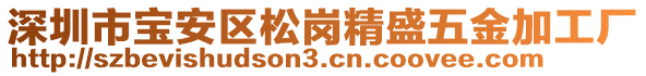 深圳市寶安區(qū)松崗精盛五金加工廠