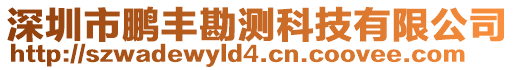 深圳市鵬豐勘測科技有限公司