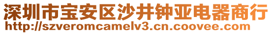 深圳市寶安區(qū)沙井鐘亞電器商行