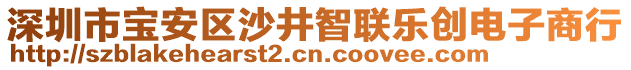 深圳市寶安區(qū)沙井智聯(lián)樂創(chuàng)電子商行