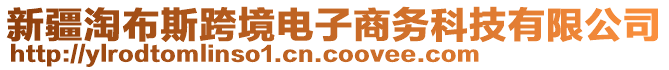 新疆淘布斯跨境電子商務(wù)科技有限公司