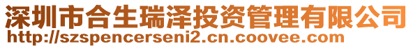 深圳市合生瑞澤投資管理有限公司