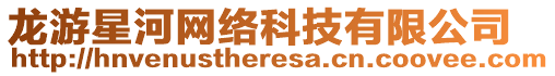 龍游星河網絡科技有限公司