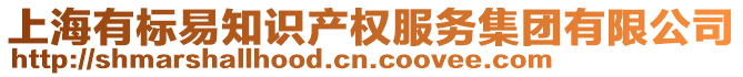 上海有標(biāo)易知識(shí)產(chǎn)權(quán)服務(wù)集團(tuán)有限公司