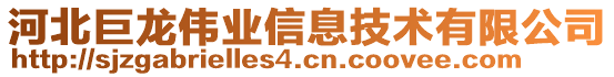 河北巨龍偉業(yè)信息技術(shù)有限公司