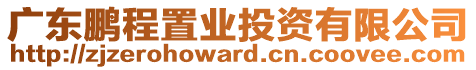 廣東鵬程置業(yè)投資有限公司