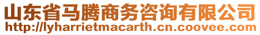 山東省馬騰商務(wù)咨詢有限公司